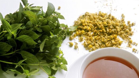 cinco-infusiones-para-el-reflujo-gastrico