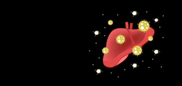 asi-afecta-la-infeccion-por-coronavirus-al-higado