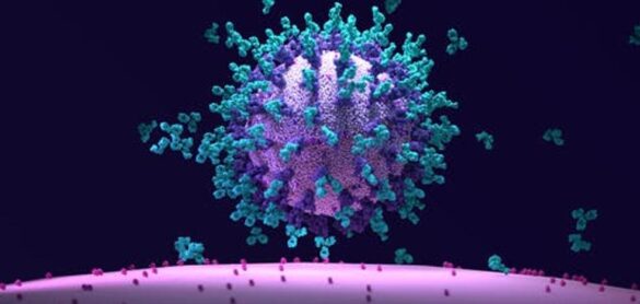 asi-es-como-algunas-vacunas-paralizan-al-virus-de-la-covid-19