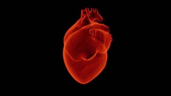 ¿que-es-el-sindrome-del-corazon-roto?:-sus-sintomas,-causas-y-tratamiento