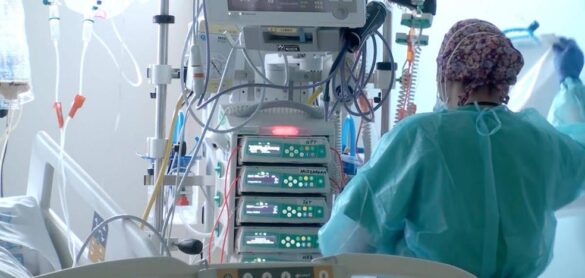 ingresada-en-la-uci-una-persona-por-infeccion-del-virus-del-nilo-occidental