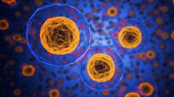 un-estudio-del-csic-encuentra-la-manera-de-frenar-los-tumores-impidiendo-su-adaptacion-a-la-falta-de-oxigeno