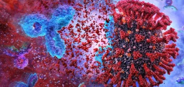 ¿dejaremos-de-estar-protegidos-frente-al-coronavirus-cuando-disminuyan-nuestros-anticuerpos?