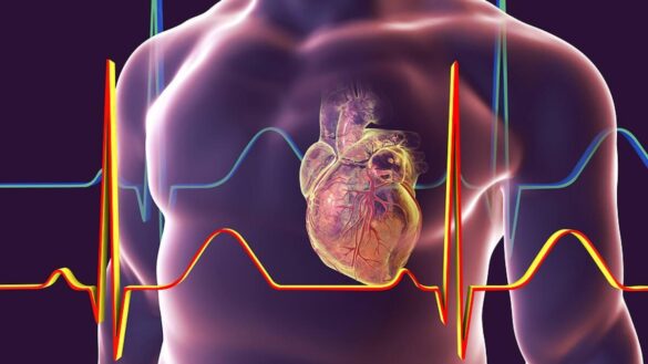un-farmaco-para-adelgazar-reduce-la-grasa-peligrosa-para-la-salud-del-corazon
