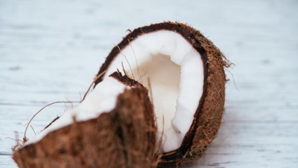 las-propiedades-del-coco-y-los-beneficios-para-tu-salud:-fuente-de-fibra-y-minerales