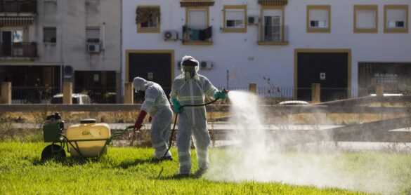 una-mujer-fallece-por-el-virus-del-nilo-en-sevilla