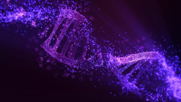 un-nuevo-sistema-crispr-podria-facilitar-la-edicion-genetica