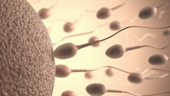 cuanto-pagan-en-espana-por-donar-esperma:-estos-son-los-requisitos-indispensables
