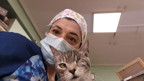 toni-pulido:-«se-puede-adoptar-un-gato-adulto-sin-problema,-se-adaptan-a-nosotros-igual-de-bien-o-mejor-que-un-cachorro»
