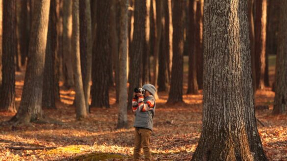 el-proyecto-de-las-guarderias-de-finlandia-que-mejora-la-salud-de-los-ninos:-crear-sus-propios-bosques