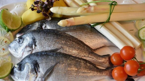 estos-son-los-pescados-que-contienen-mas-mercurio
