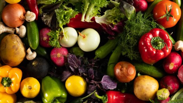 como-influye-en-nuestro-cerebro-el-estado-nutricional