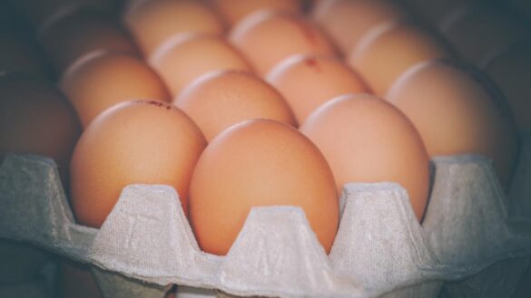 ¿como-debe-congelarse-realmente-un-huevo-crudo-para-poder-comerlo?