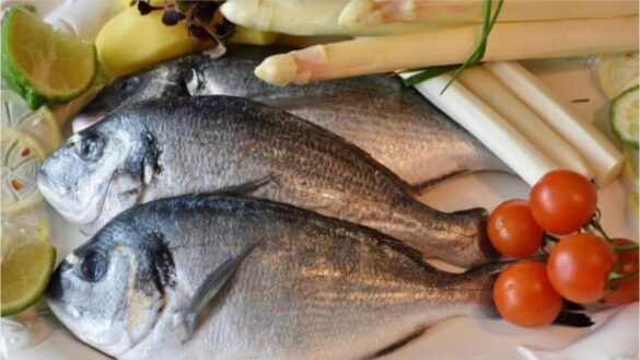 ¿que-pescados-contienen-mas-mercurio?
