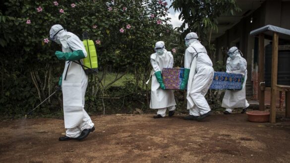 ¿que-es-el-ebola?-estos-son-sus-sintomas,-sus-causas-y-su-tratamiento