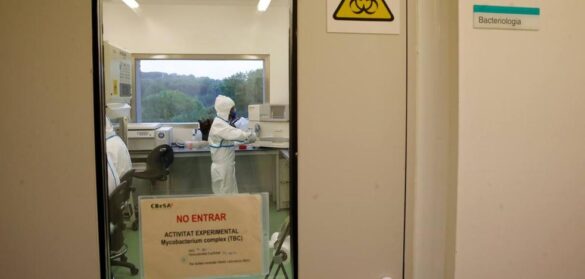 sanidad-autoriza-los-ensayos-en-fase-ii-de-la-vacuna-espanola-de-hipra
