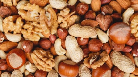 adios-al-mito:-los-frutos-secos-no-engordan,-segun-la-ciencia