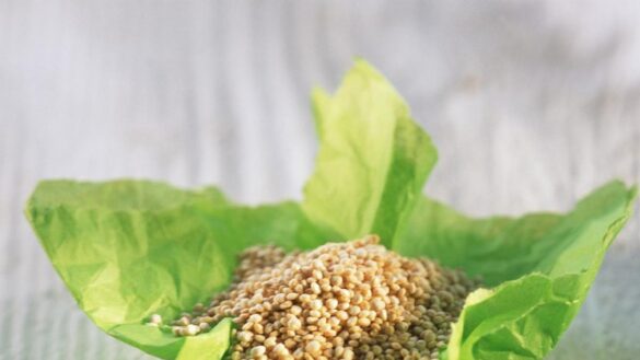 propiedades-de-los-pseudocereales-como-la-quinoa,-el-amaranto-o-la-chia