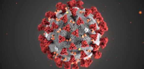 un-anticuerpo-monoclonal-se-muestra-efectivo-ante-omicron-en-su-fase-preclinica