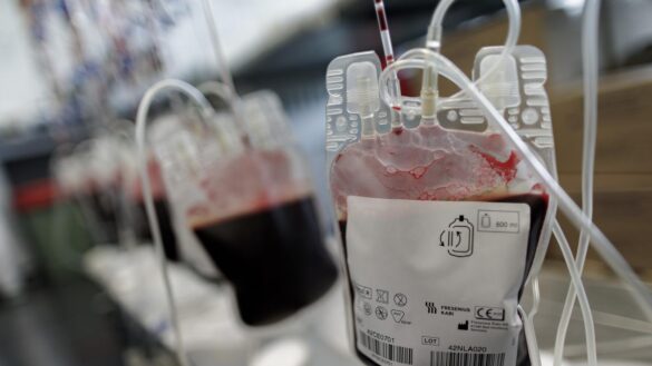 ¿que-es-la-talasemia?-estos-son-sus-sintomas,-sus-causas-y-su-tratamiento