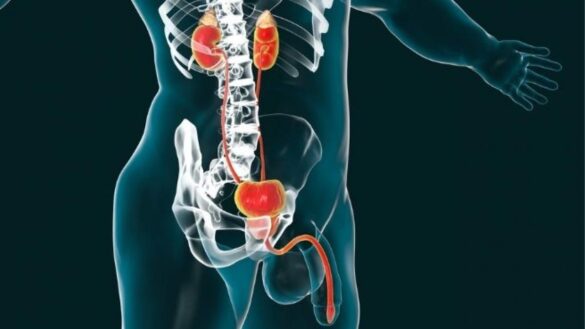 ardor,-secrecion-y-otros-sintomas-de-la-uretritis:-que-es-y-cuales-son-sus-causas