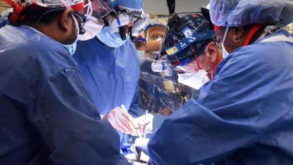 realizan-con-exito-el-primer-trasplante-de-un-corazon-de-cerdo-a-un-ser-humano