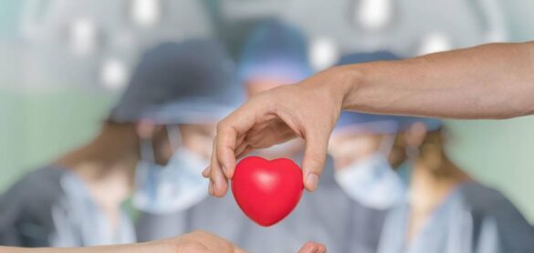 xenotrasplantes:-los-avances-en-la-implantacion-de-organos-animales-en-humanos