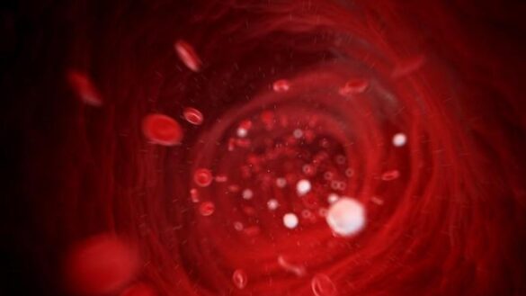 un-avance-frente-al-cancer,-el-ictus-o-la-insuficiencia-respiratoria-por-covid:-editar-geneticamente-vasos-sanguineos