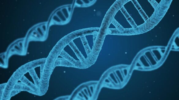 riesgos-de-los-test-geneticos-caseros-frente-a-los-clinicos