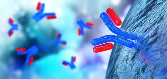 ¿que-son-los-anticuerpos-monoclonales-y-por-que-se-habla-tanto-de-ellos?