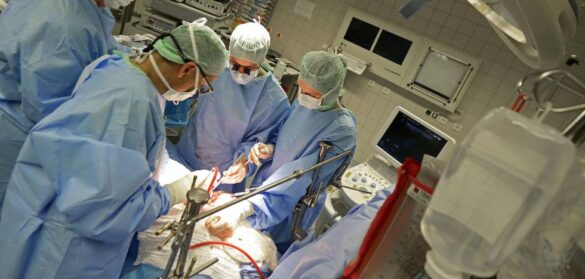 primer-trasplante-de-rinones-de-cerdo-a-un-paciente-con-muerte-cerebral