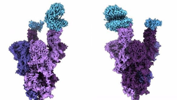 descubren-las-mutaciones-«especificas»-de-la-variante-omicron-que-estan-causando-la-alta-infeccion-en-el-mundo