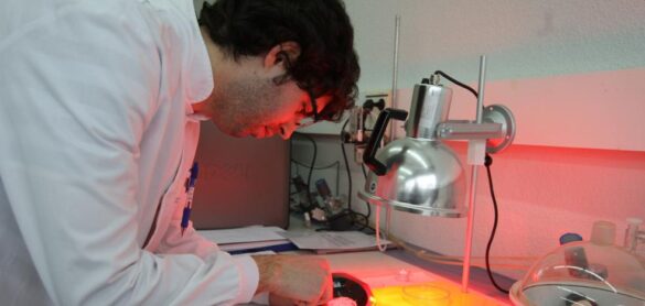 este-ano-se-diagnosticaran-mas-de-280.000-casos-de-cancer-en-espana
