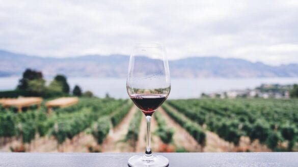 por-que-tomar-una-copa-de-vino-al-dia-no-es-bueno-para-el-corazon