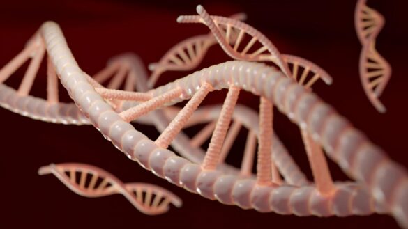 predecir-la-evolucion-del-cancer-para-salvar-vidas:-asi-es-el-proyecto-dirigido-por-dos-investigadoras-espanolas