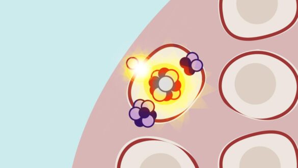 terapia-por-captura-neutronica-en-boro:-¿que-es-y-como-puede-ayudar-a-combatir-el-cancer?
