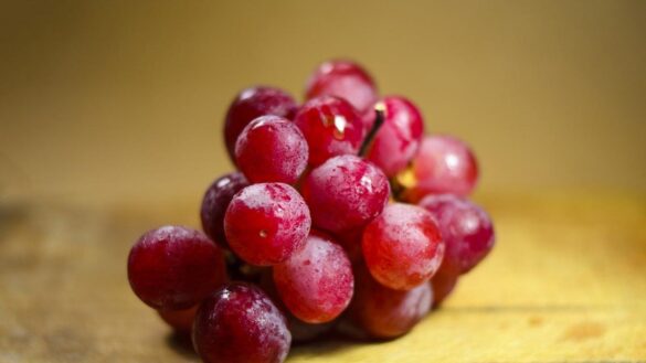 las-uvas,-aliadas-de-nuestra-salud-cardiovascular:-estas-son-sus-propiedades-nutricionales