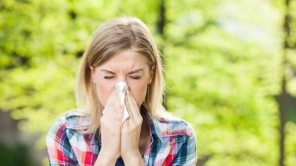 sintomas-de-la-alergia-al-polen,-arizonicas-y-otras-plantas:-tratamientos-efectivos-para-aliviarlos