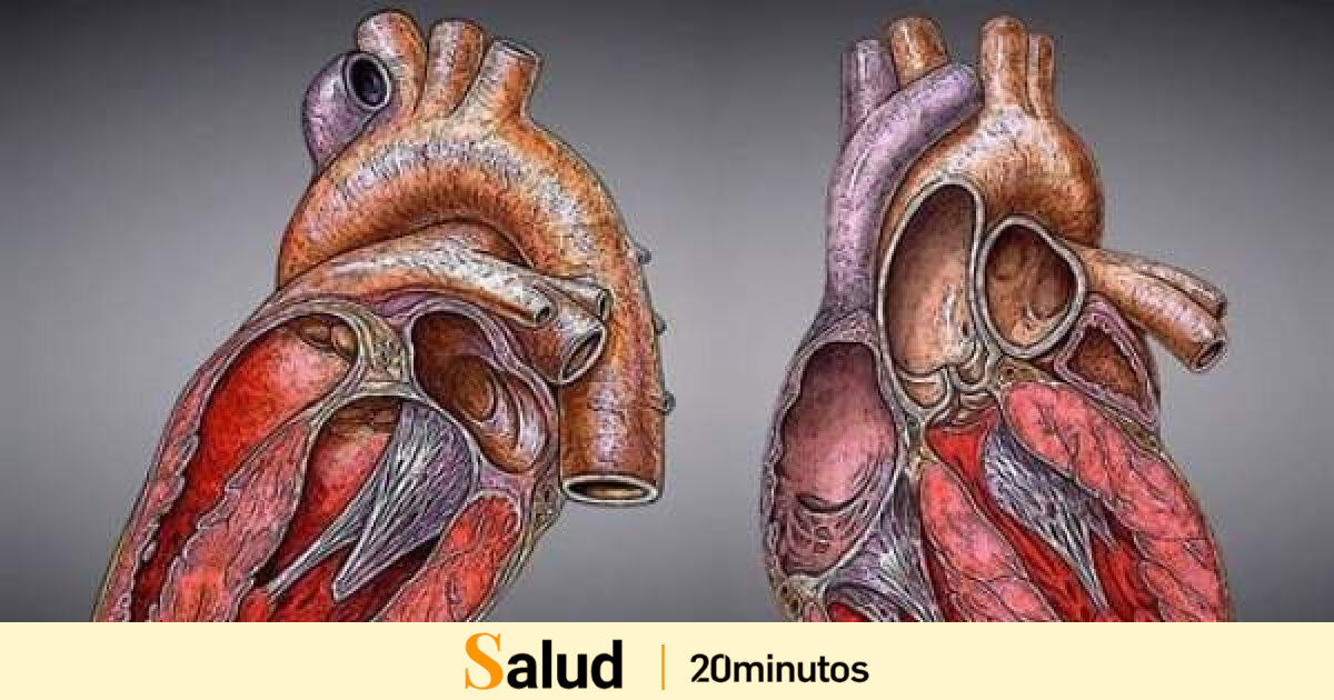 120.000 españoles viven con una cardiopatía congénita: cuándo pasan desapercibidas y cómo identificarlas
