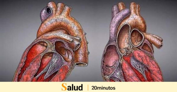 120.000-espanoles-viven-con-una-cardiopatia-congenita:-cuando-pasan-desapercibidas-y-como-identificarlas