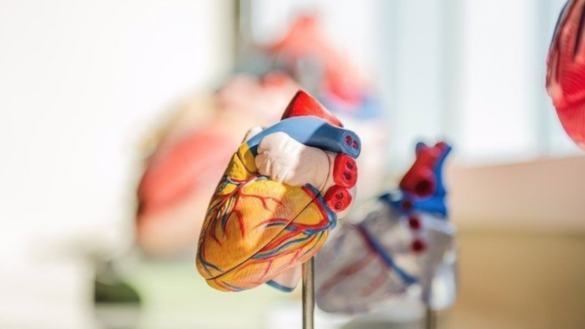 cuidado-si-tienes-estos-genes:-aumentan-las-probabilidades-de-sufrir-un-infarto