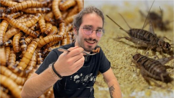 probamos-grillos-y-gusanos-de-la-harina,-insectos-ricos-en-proteinas-para-la-dieta