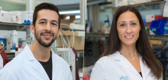 un-nuevo-farmaco-espanol-ofrece-resultados-prometedores-contra-el-cancer-de-mama