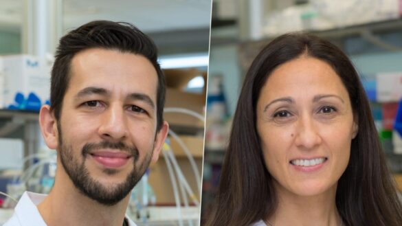 asi-funciona-el-farmaco-espanol-eficaz-contra-el-cancer-de-mama:-«su-potencial-antimetastasico-esta-demostrado»