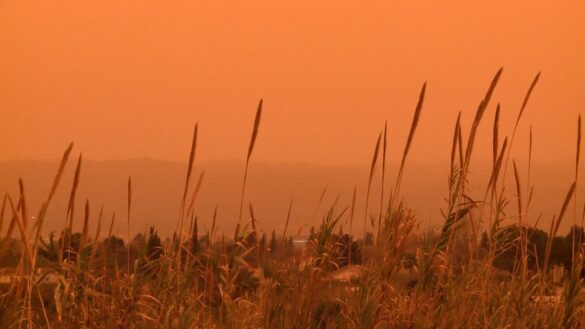 los-peligros-de-la-calima:-el-polvo-del-desierto-ataca-a-la-respiracion-y-es-mas-danino-si-haces-deporte-en-la-calle
