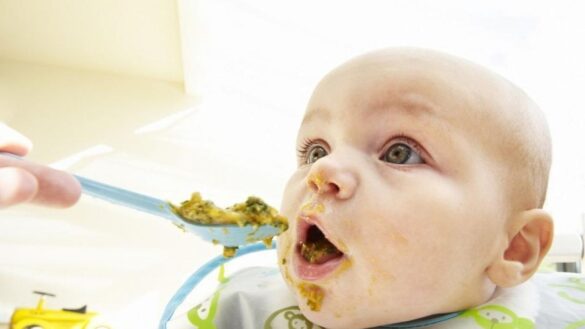 ¿con-cuantos-meses-los-bebes-deben-empezar-con-la-alimentacion-complementaria?