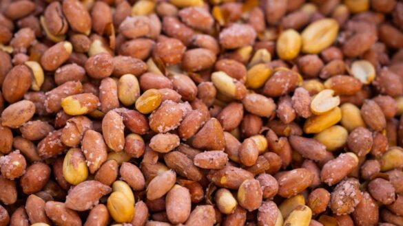 el-motivo-por-el-que-deberias-comer-cacahuetes-con-piel