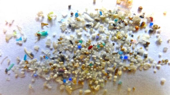 encuentran-por-primera-vez-microplasticos-en-el-torrente-sanguineo-humano-procedentes-del-entorno
