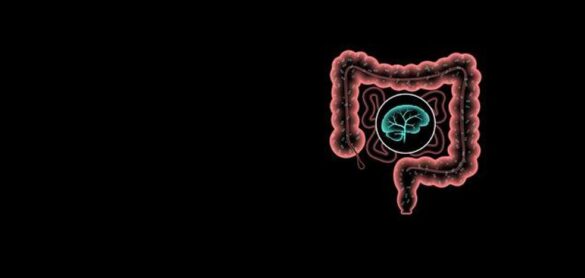 asi-es-la-microbiota-de-una-persona-con-depresion