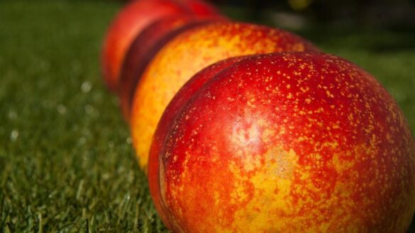 las-4-frutas-que-mas-causan-anafilaxia,-la-reaccion-alergica-grave-que-puede-provocar-la-muerte